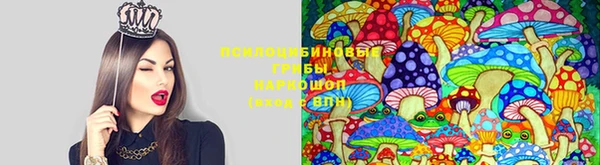 мяу мяу мука Осташков